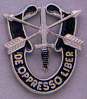Rothco Special Forces Crest Pin LARSON TACTICAL SUPPLY