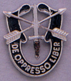 Rothco Special Forces Crest Pin LARSON TACTICAL SUPPLY