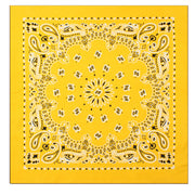 Rothco Trainmen Paisley Bandana – Extra-Large - 27” X 27" LARSON TACTICAL SUPPLY