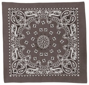Rothco Trainmen Paisley Bandana - 22" X 22" LARSON TACTICAL SUPPLY