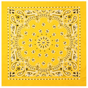 Rothco Trainmen Paisley Bandana - 22" X 22" LARSON TACTICAL SUPPLY