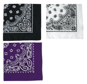 Rothco Trainmen Paisley Bandana - 22" X 22" LARSON TACTICAL SUPPLY