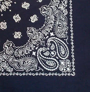 Rothco Trainmen Paisley Bandana - 22" X 22" LARSON TACTICAL SUPPLY
