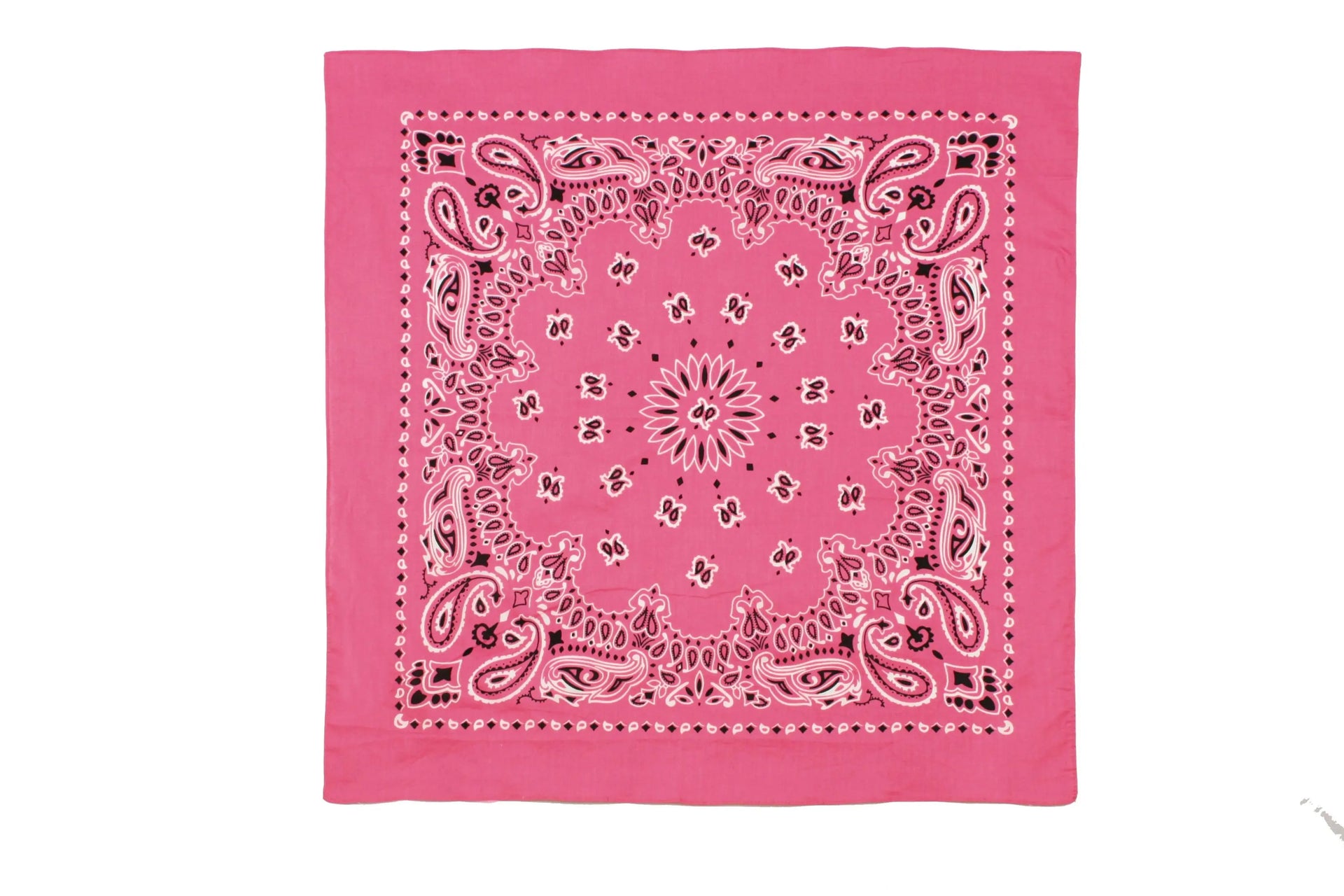 Rothco Trainmen Paisley Bandana - 22" X 22" LARSON TACTICAL SUPPLY