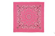 Rothco Trainmen Paisley Bandana - 22" X 22" LARSON TACTICAL SUPPLY