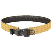 Hsp D3 Outer Belt Sb D Ring Lrg Coy Haley Strategic Partners