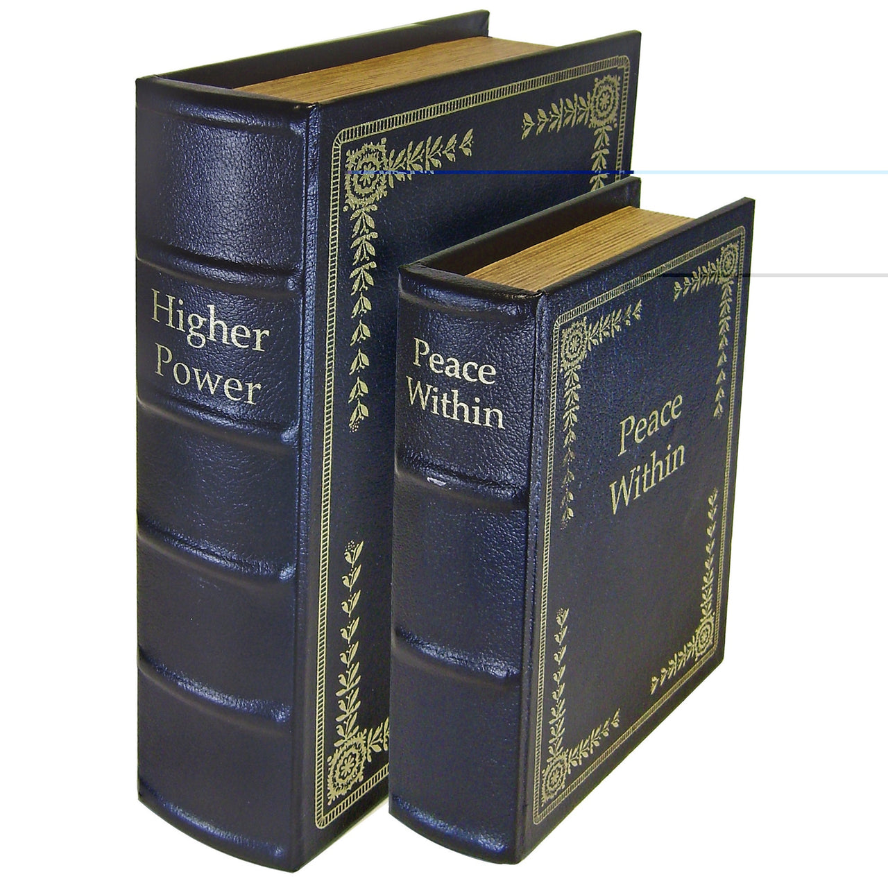 Ps Diversion Books - Set Of 2 PS Products