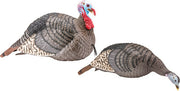 Hs Strut Turkey Decoy Combo - Hen/jake Strut-lite Hunters Specialties