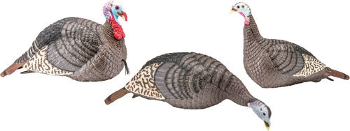 Hs Strut Turkey Decoy Flock - Strut-lite Hen/jake/feeder! Hunters Specialties