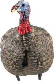 Avian X Lcd Quarter Strut Jake - Decoy Avian X