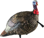 Avian X Lcd Quarter Strut Jake - Decoy Avian X