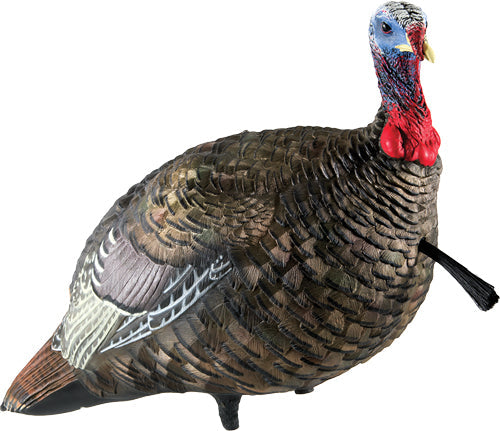 Avian X Lcd Quarter Strut Jake - Decoy Avian X