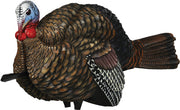 Avian X Lcd 1/2 Strut Jake - Decoy Avian X