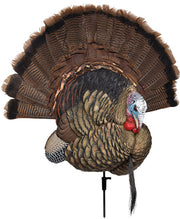 Avian X Trophy Tom Decoy - Avian X
