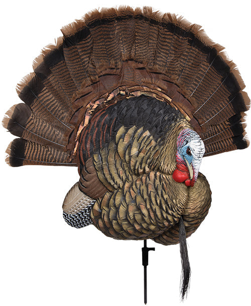 Avian X Trophy Tom Decoy - Avian X