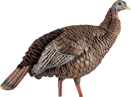 Avian X Hdr Hen Decoy - Avian X