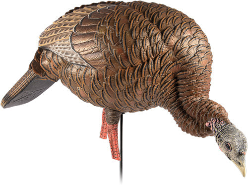 Avian X Hdr Feeding Hen Decoy - Avian X