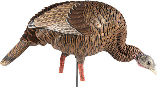 Avian X Hdr Feeding Hen Decoy - Avian X