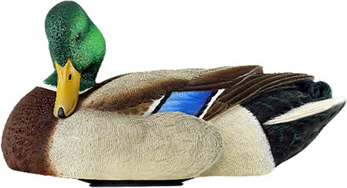 Avian X Power Shaker Mallard - Drake Preener Decoy Avian X