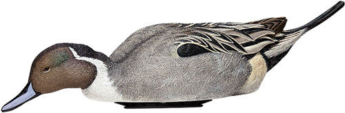 Avian X Power Shaker Pintail - Surface Feeder Decoy! Avian X