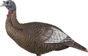 Flextone Thunder Chick Upright - Hen Decoy W/stake Flextone Decoys