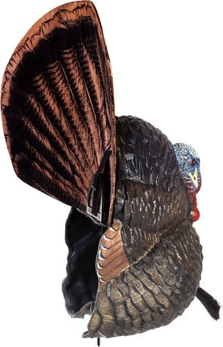 Flextone Thunder Creeper - Strutter Decoy W/ Folding Fan Flextone Decoys