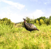 Flextone Thunder Jake 1/4 - Strut Decoy W/stake Flextone Decoys