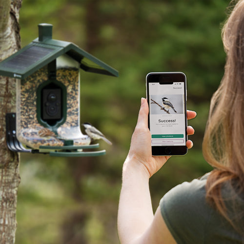 Feathersnap Scout Birdfeeder - Wi-fi Solar Powered W/ Camera FeatherSnap