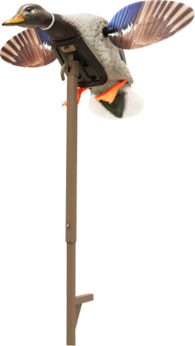 Mojo Elite Series Mini Mallard - Drake Decoy MOJO OUTDOORS