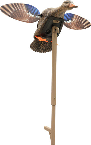 Mojo Elite Series Mini Mallard - Hen Decoy MOJO OUTDOORS