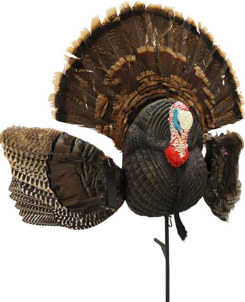 Mojo Scoot N Shoot Max Turkey - Decoy MOJO OUTDOORS