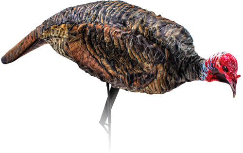 Montana Decoy Turkey Jake - Purr-fect Xd! Montana Decoy Company