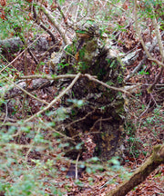 Titan Leafy Suit Mossy Oak - Obsession Nwtf L/xl Pants/top Titan 3D